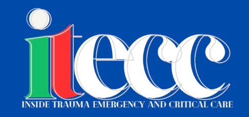 Logo Inside Trauma
